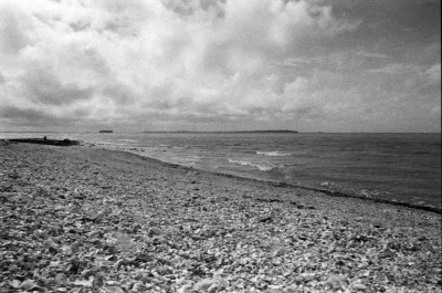 BERGGER_Pancro400_5